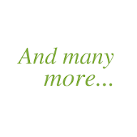 Many More Opportunities Waiting for You!